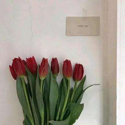 霸权征战游戏